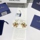 Swarovski Togetherness Hoop Pierced Earrings 5561601 5x4CM
