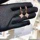 Swarovski Symbolic Earrings 5494337