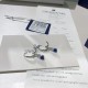 Swarovski Attract Trilogy Round Pierced Earrings 5416154 3CM