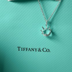 Tiffany & Co. Silver Crown Necklace For W Jewelry