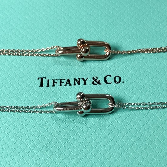 Tiffany & Co. Silver U-shaped Horseshoe Buckle Necklace For W Jewelry