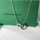 Tiffany & Co.Silver Double Ring 1837 Roman Numeral Round Necklace For W Pendant Jewelry