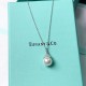 Tiffany & Co.Wichte Silver Necklace For W Jewelry